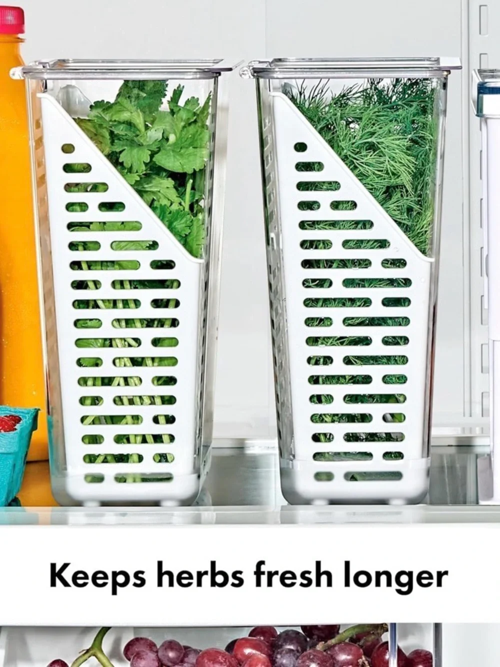 OXO White and Clear Herb Keeper for Refrigerator